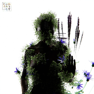 夏目春彩在办公室被躁
