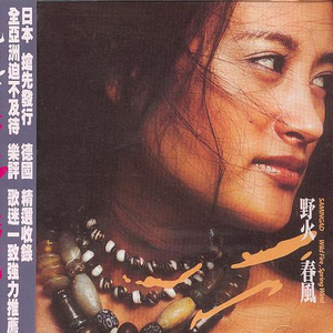 夏目春彩在办公室被躁
